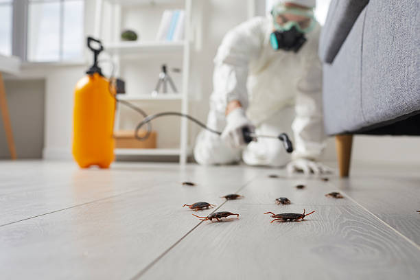 Trusted Cockroach Control service in Riverdale, GA - Nex Pest Control